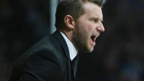 Die Löwen in der Krise