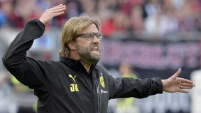 Trainer mit Haut und Haaren