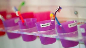 Tigerbiss und Zahnputzhexe