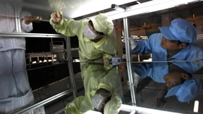 Zollentscheid belastet deutsche Solar-Aktien