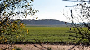 Fünf Grundstücke für 50 Millionen Euro