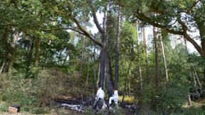 Vier Tote beim Absturz eines Kleinflugzeugs