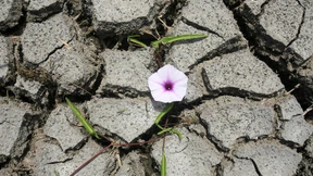 Der große Klima-Knigge