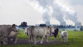 Was uns die Energiewende wirklich kosten wird