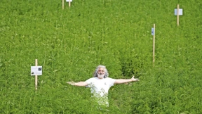 „Davon wird kein Maikäfer high“