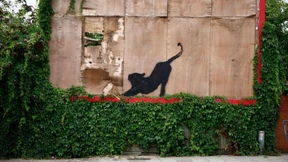 Banksys sechstes Kunstwerk zeigt Katze bei Dehnübung