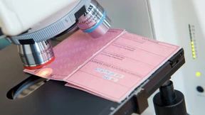 Höhere Steuereinnahmen durch bessere Computer