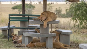 Amazonas ein Fall für den UN-Sicherheitsrat?