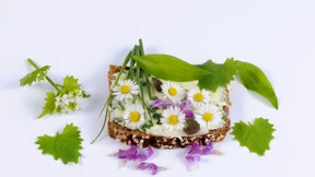 Welche heimischen Blumen schmecken und sogar gesund sind