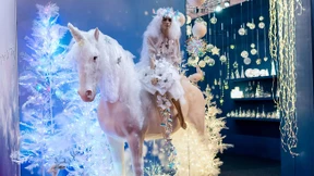 „Ökologisch gesehen ist die Weihnachtszeit eine Katastrophe“