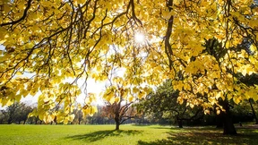 Goldener Oktober bringt noch einmal Sonne 