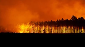 Frankreich im Fegefeuer