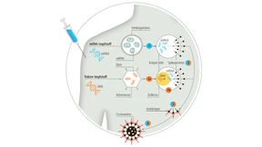 Wie Deutschland impft