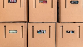 Keine Ruhe im Karton