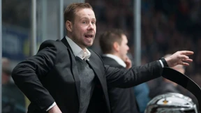 Das Löwen-Sprungbrett genutzt