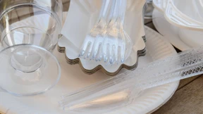 Plastikteller sollen verboten werden