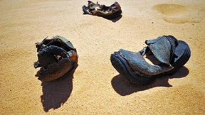 UN beklagen brutale Gewalt auf Afrika-Routen