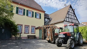 Frankfurt vermietet Weingut zunächst pachtfrei