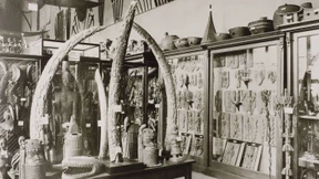 Der Kolonialismus auf dem Kaminsims