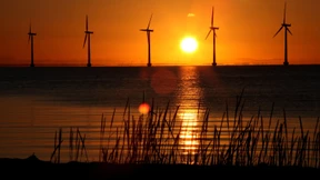 Munich Re und Hannover Rück wollen kooperieren