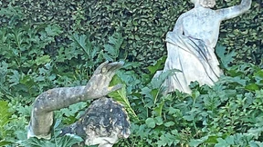 Auf der Demarkationslinie zwischen Leben und Tod