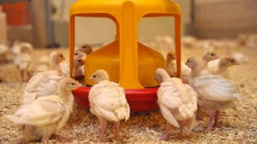 Sämtliche Antibiotika sollen auf den Prüfstand