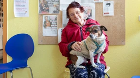 Bescherung für Vierbeiner