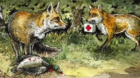 Hilfe ohne Unterschied