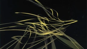 Die schönsten Reisen sind im Kopf