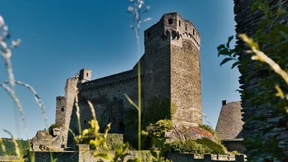 Die Burg braucht ein Nutzungskonzept