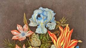 Still blüht die Schönheit