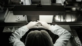 Schlangengift bremst das Coronavirus