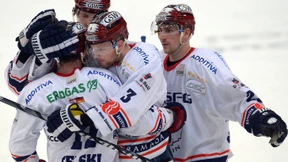 Eisbären und Tiger vorneweg