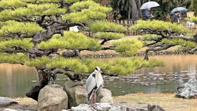 Jeder Grashalm zählt