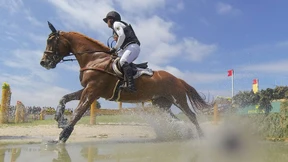 Der Düsentrieb der Reiterei