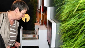 Union: Hendricks betreibt „Klima-Planwirtschaft“