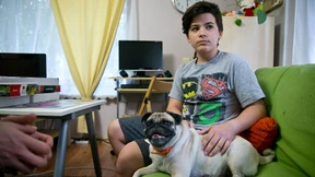 Das bisschen Frieden hinter dem Zaun