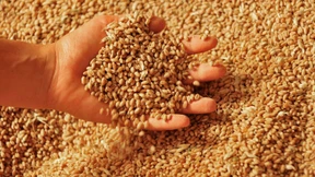 Interne Vorbehalte gegen Termingeschäfte