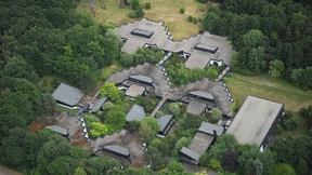 Der Wunsch allein lässt keine Bäume wachsen