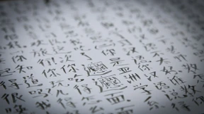 Was ich dem Chinesischen verdanke