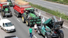 Bauern wollen Verkehrsachsen in Paris lahmlegen
