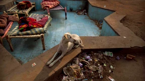 Entwicklungsbank warnt vor wachsender Ungleichheit