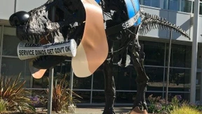 Füttert Google Dinosaurier mit Zeitungen?