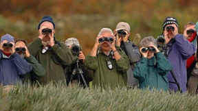 Was gibt’s denn da zu sehen?