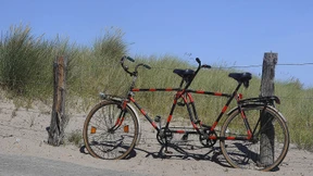 Einfach mal die Welt reinlassen