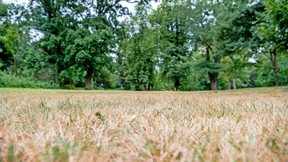 Warnung vor Wasserknappheit