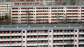 Dresdner bewerfen Polizisten mit Steinen