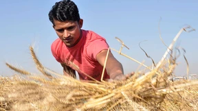 Indien beschließt 20 Milliarden Lebensmittel-Hilfe