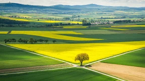 Was an Deutschland schön ist – und warum