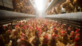 Warum wir uns auch mit Antibiotika befassen sollten